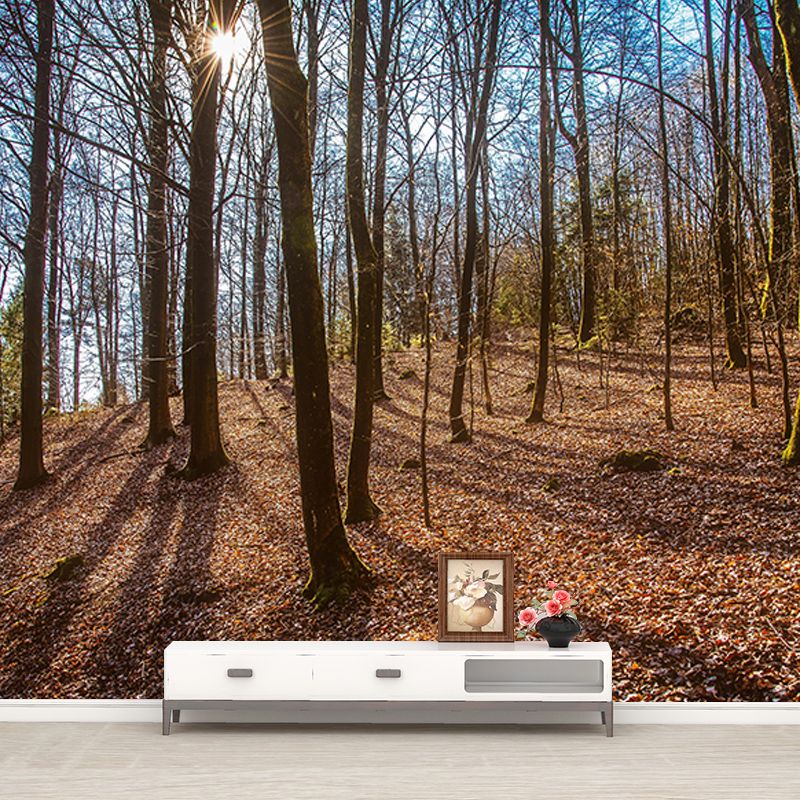 Living Room Contemporary Photography Forest Wall Mural Wallpaper Wall Covering