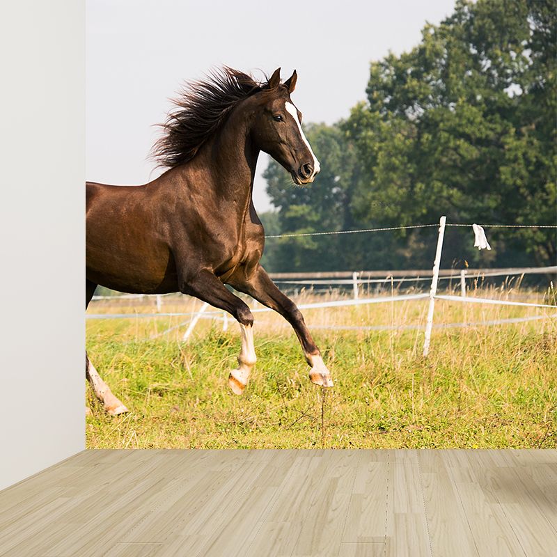 Large Horse Mural Eco-friendly Wallpaper Soft Color Wall Decor for Living Room