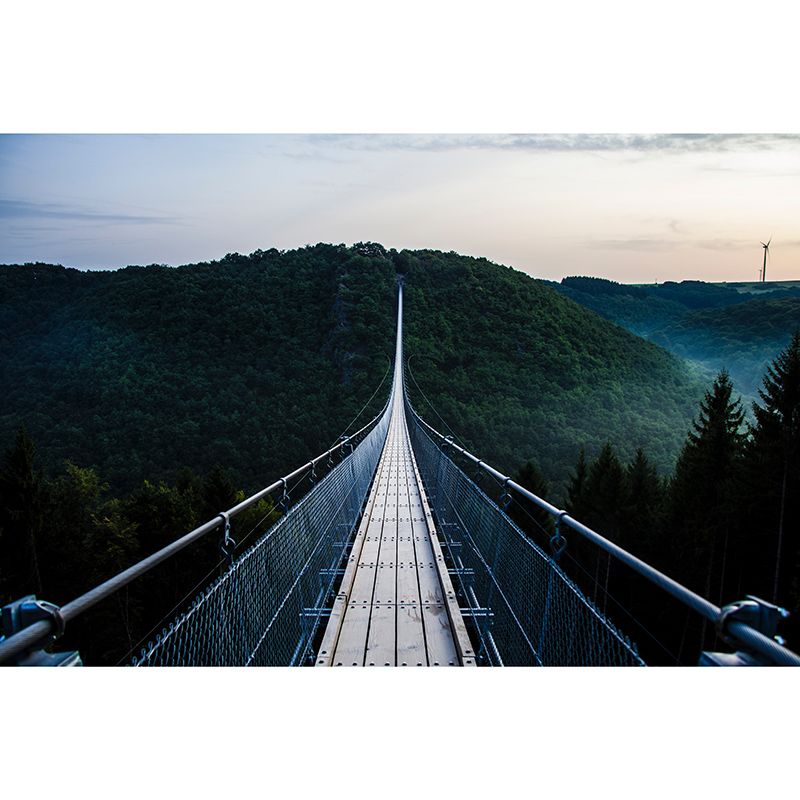 Eco-friendly Wall Mural Wallpaper Pathway Photography Sitting Room Wall Mural