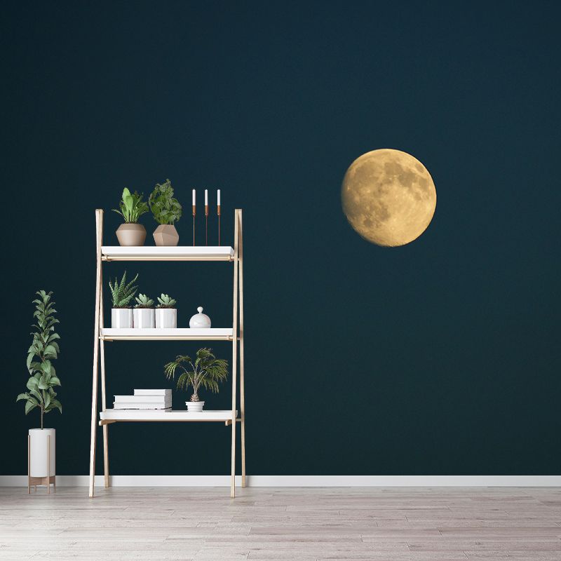 Wallpaper Photography Wall Mural Universe Sitting Room Wall Mural