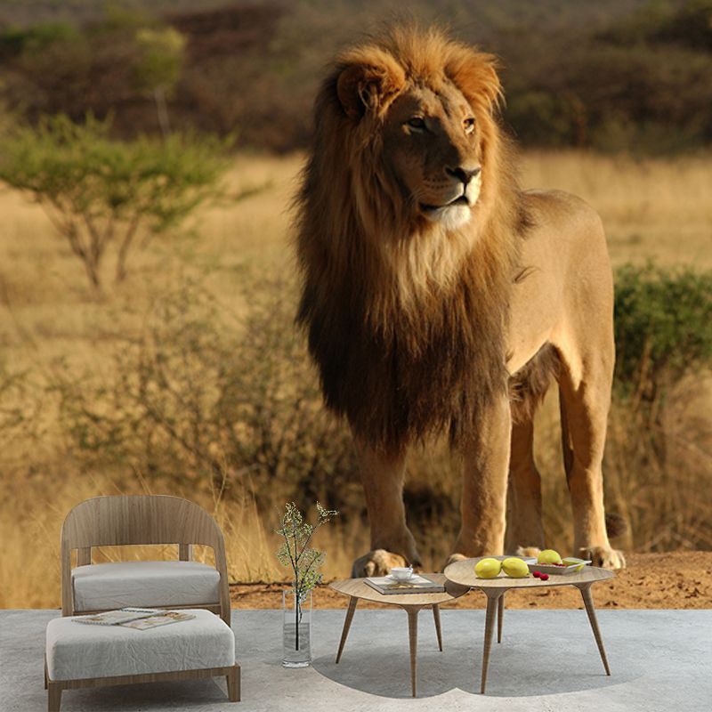 African Savannas Lion Mural Decal Brown Contemporary Wall Covering for Accent Wall