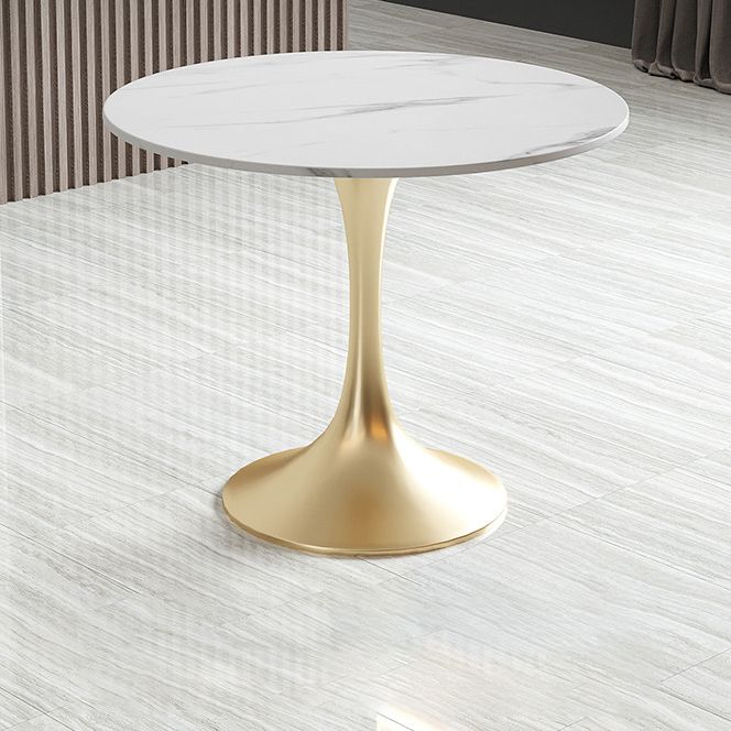 Metal Traditional Luxury Round Table White Sintered Stone Top Table with Tulip Base