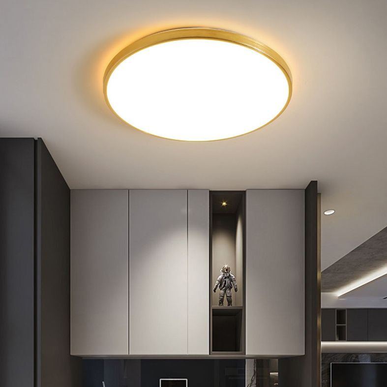 Modern Led Fixture Flush Mount Lighting Fixture Acrylic and Metal Lampshade for Corridor