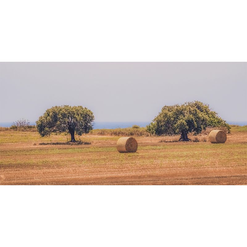 Horizontal Photography Straw Bales Mural Moisture Resistant for Home Decoration