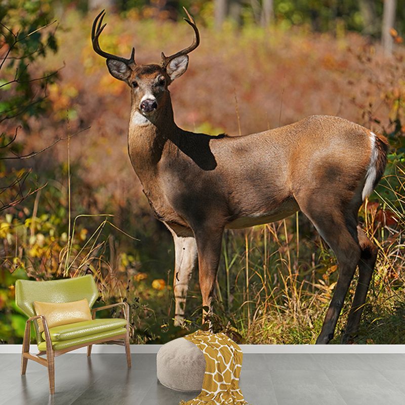 Deer Animal Minimalist Wall Covering for Living Room, Customized Size Available