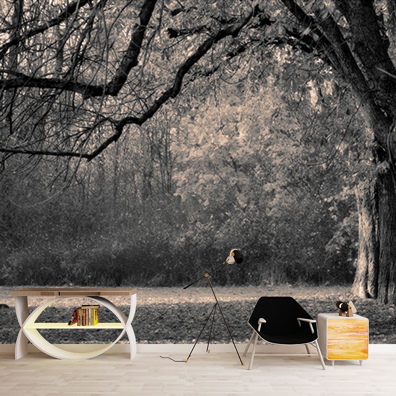 Photography Wall Mural Wallpaper Forest Scenery Sitting Room Wall Mural