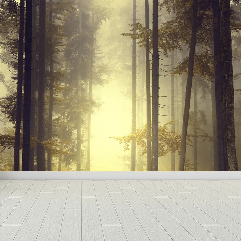 Papier peint mural de paysage de forêt brumeuse, décoration murale intissé moderne de couleur douce pour la maison