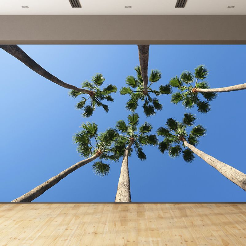 Photography Palm Tree Mural Environment Friendly Wallpaper for Home Decor