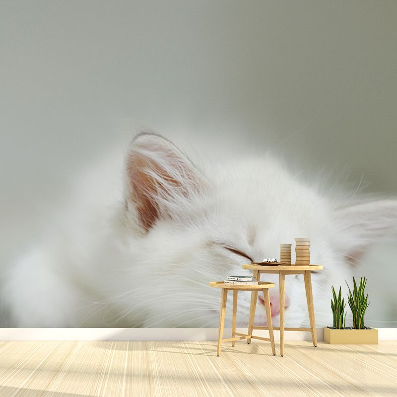 Cute Cats Photography Mural Wallpaper Environment Friendly Living Room Wall Mural