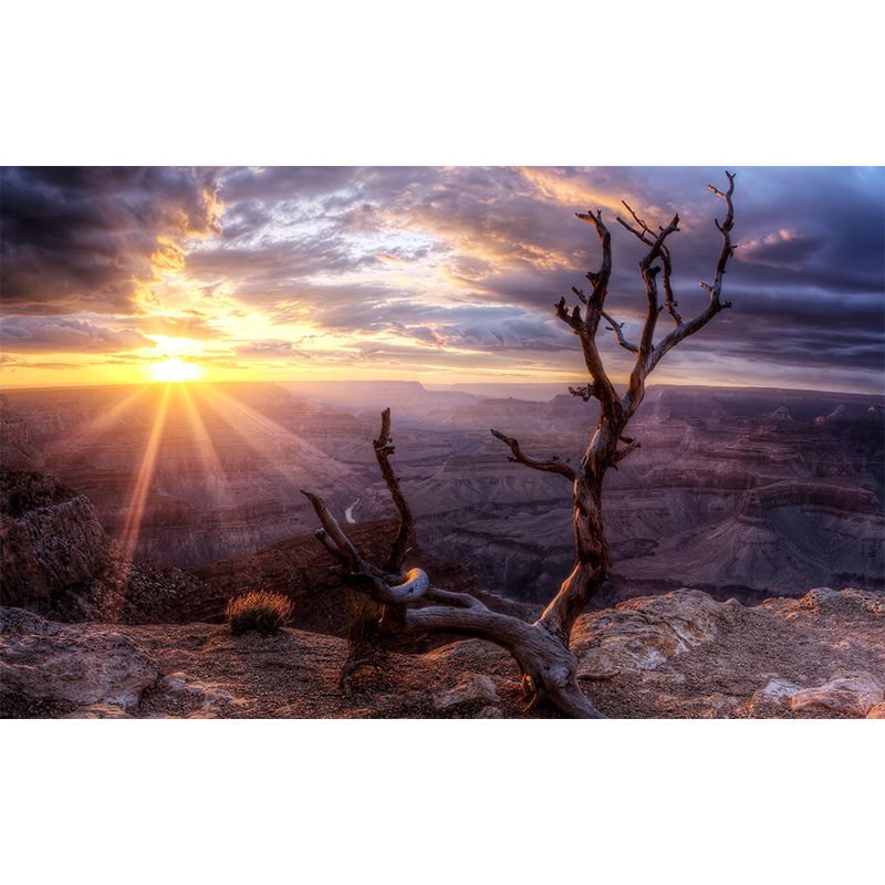 Brown Withered Branch Mural Sunset Mountain Landscape Modern Waterproof Wall Covering