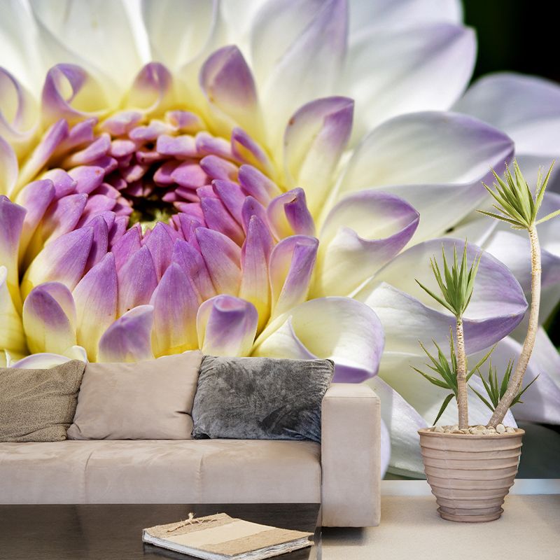 Dahlia Mural Wallpaper Wall Covering Mildew Resistant for Sleeping Room