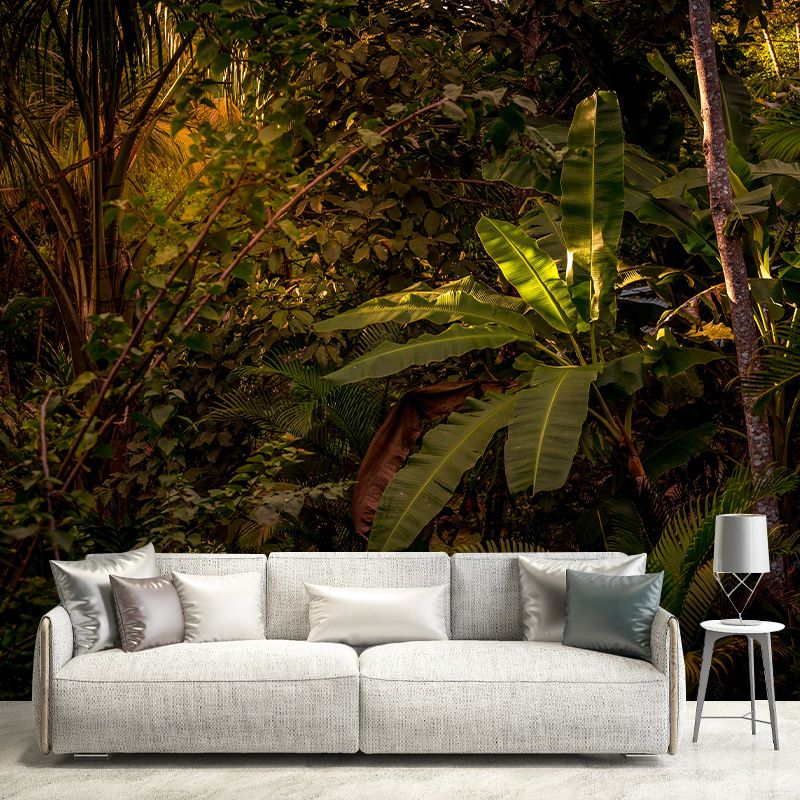 Modern Style Photography Wall Mural Wallpaper Forest Bedroom Wall Mural