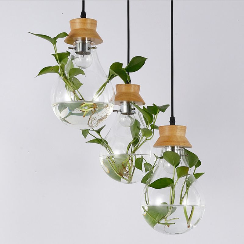 Contemporary Design Bulb Glass Shade Hanging Lamp Hydroponics Plant Drop Pendant for Coffee Shop