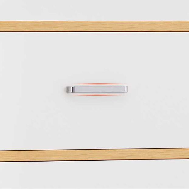 4 Drawers Wood Side Cabinet Contemporary 1 - Door Accent Chest