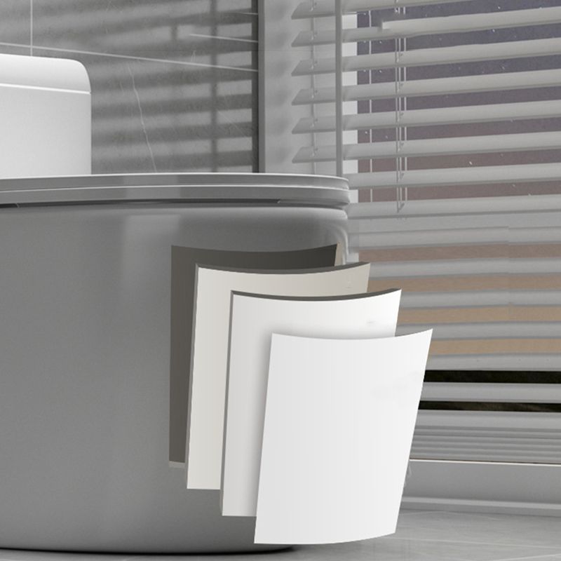 Contemporary Ceramic Floor Mounted Toilet Indoor All-In-One Toilet Bowl