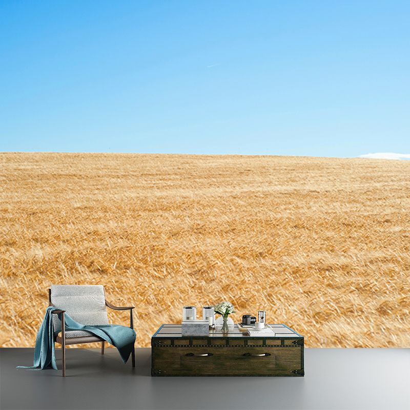 Wheat Field Mildew Resistant Wallpaper Photography Sleeping Room Wall Mural