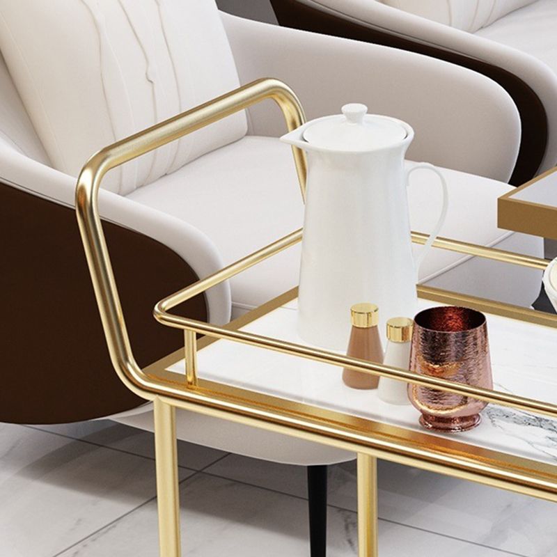 Contemporary Metal Prep Table 33.86"H Rolling Prep Table for Home Use