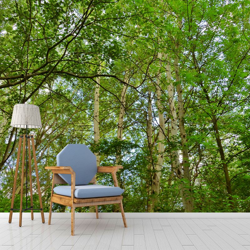 Minimalism Style Forest Removable Wall Mural for Sitting Room, Waterproofing
