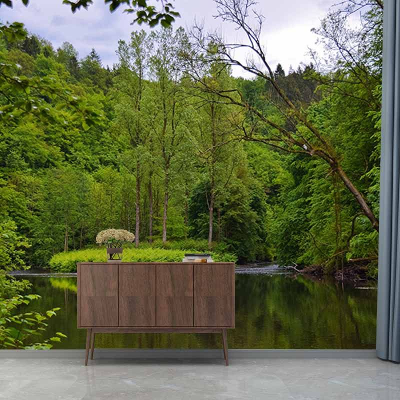 Wall Decor Forest Mildew Resistant Wall Mural Wallpaper Forest Landscapes Pattern