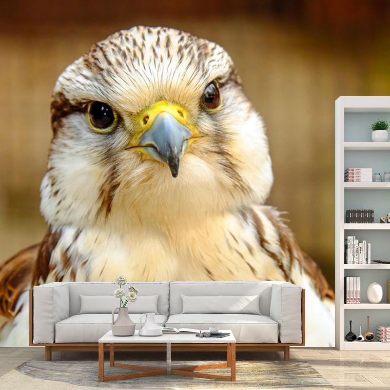 Photography Falcon Wall Mural Wallpaper Moisture Resistant Mural for Home