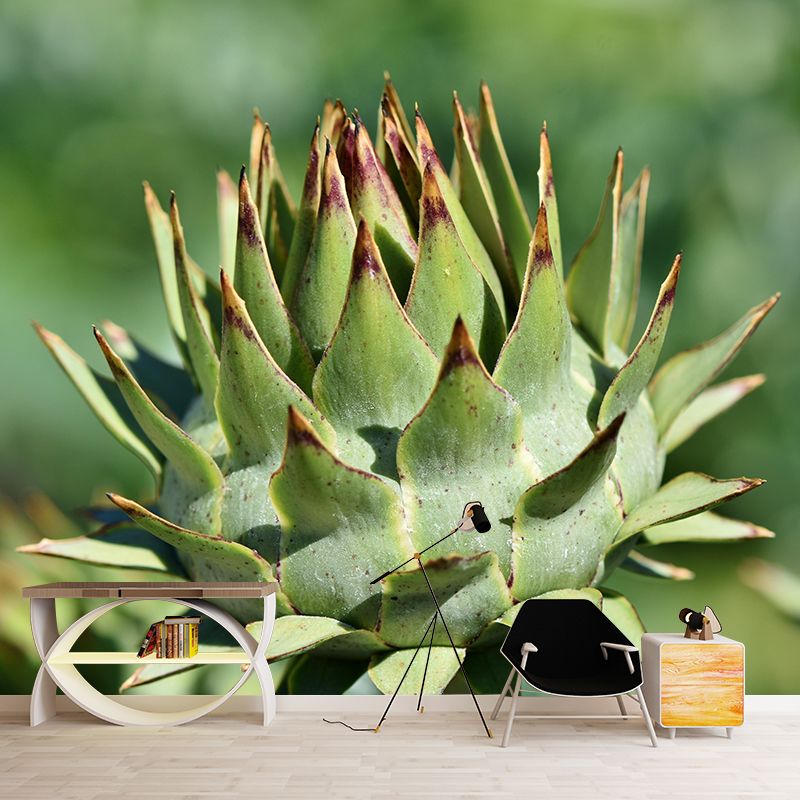Artichoke Painting Mural Decal Modern Mildew Resistant Wall Covering for Decoration