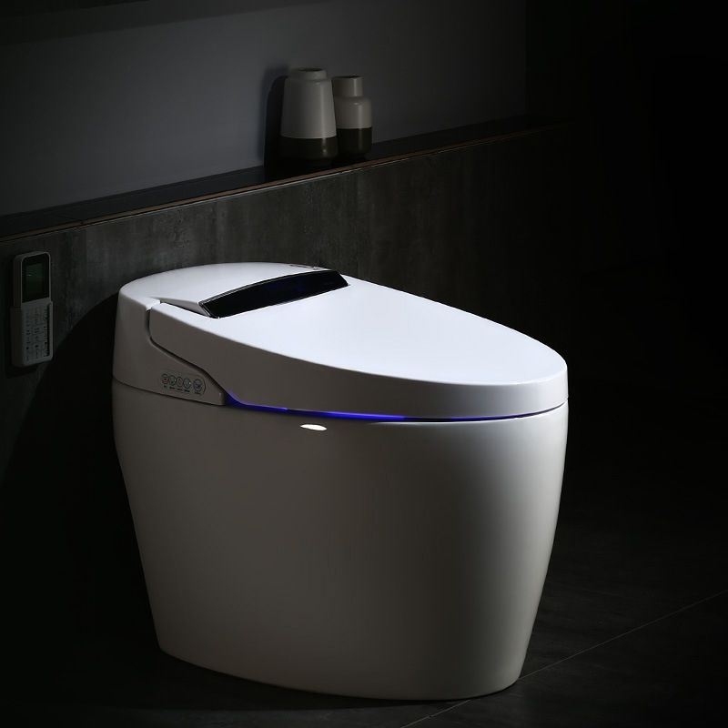 Modern 1-Piece Bidet Toilet Floor Mounted Toilet Bowl for Washroom