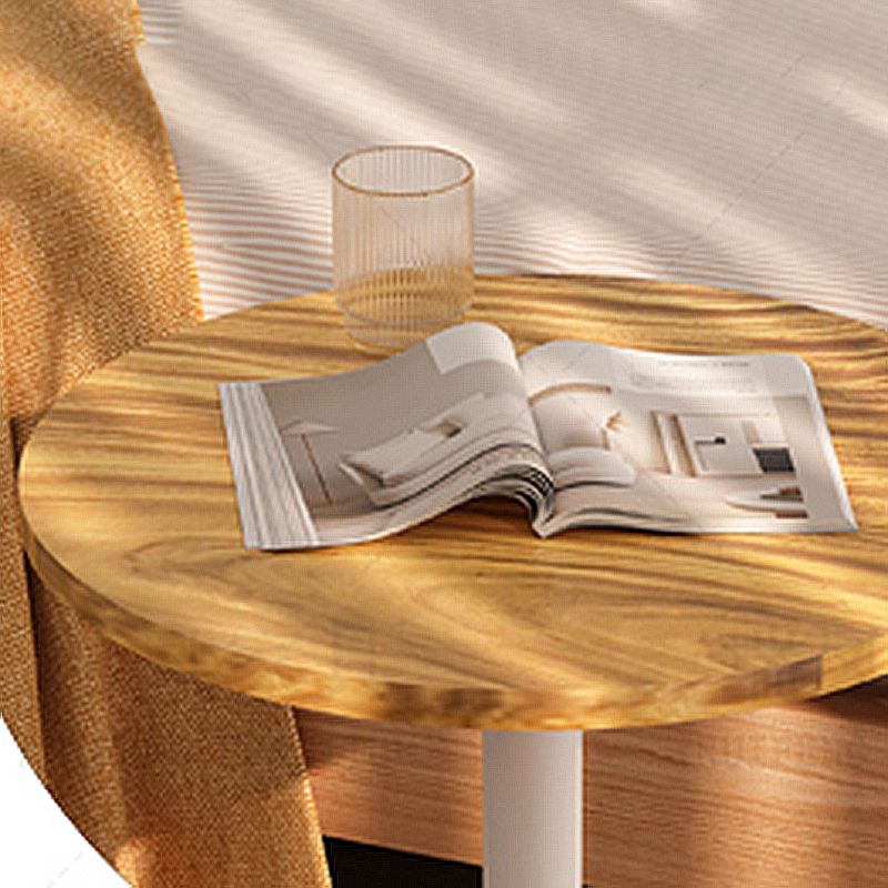 Round Pedestal End Table Minimalist Wood Side End Table for Living Room