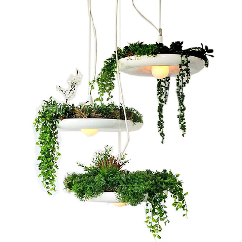Single-Light Metal Frame Plant Pendant Light for Dinning Room Bedroom Hanging Lamp (Without Plants)