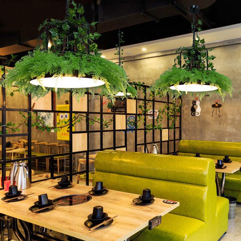 Burst/Barn/Birdcage Plant LED Pendant Lamp Industrial Pink/Green/Purple Finish Iron Hanging Chandelier for Bistro