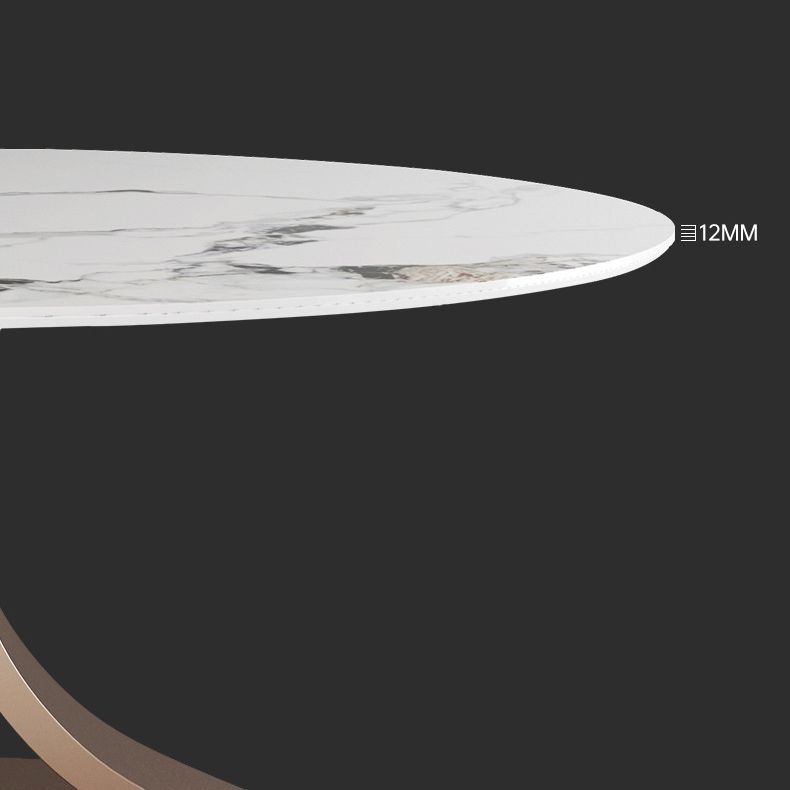 Modern 1/4/7 Pieces Dining Table Set with Sintered Stone Top Stainless Steel Dinette Set