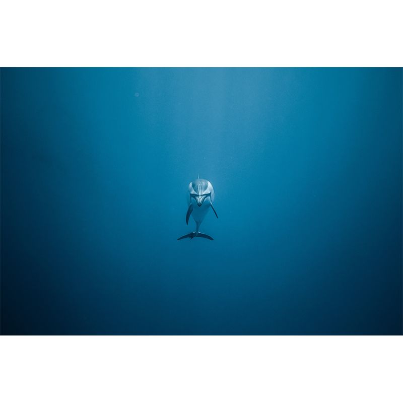 Environmental Photography Wallpaper Undersea Sitting Room Wall Mural