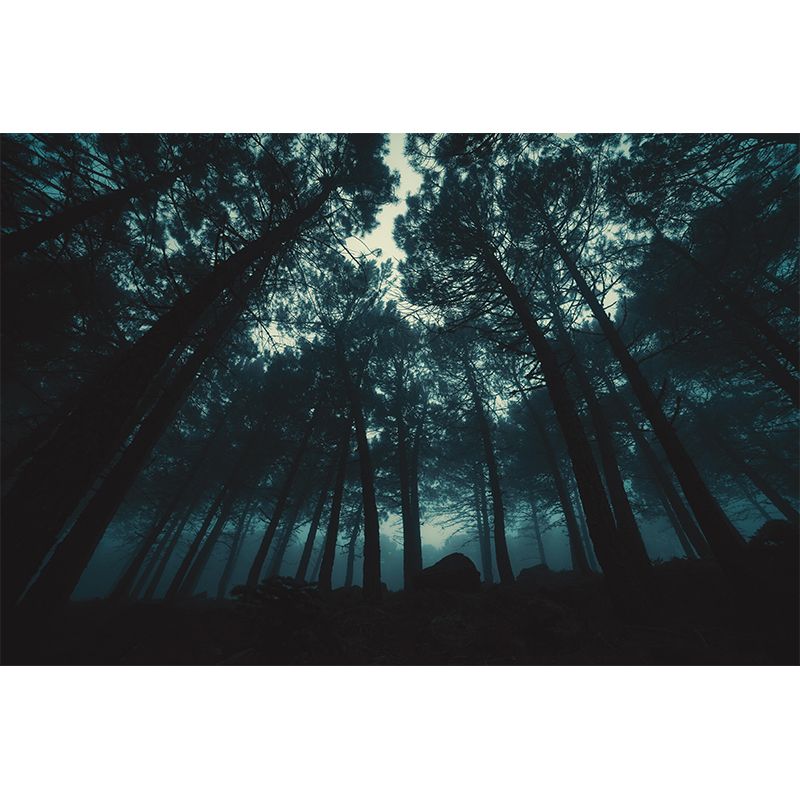 Forest Landscape Wall Mural Contemporary Decorative Wall Murals for Bedrooms