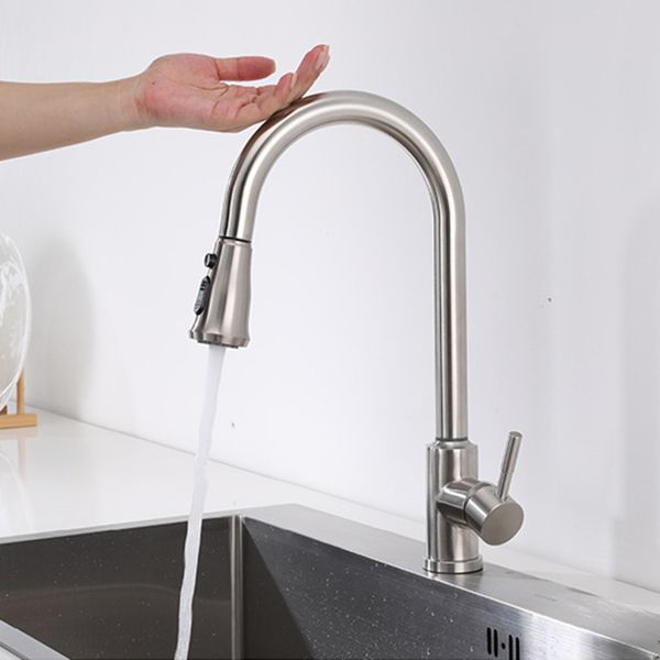 Modern 1-Handle Faucets Stainless Steel Gooseneck with Pull Out Sprayer Faucets