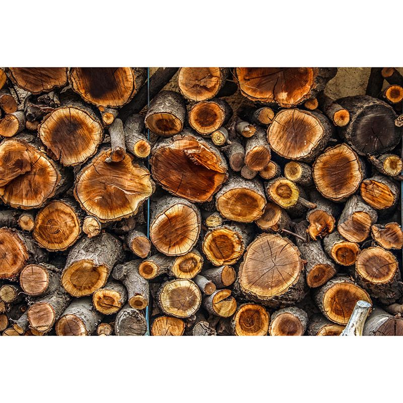 Environment Friendly Mural Wallpaper Industrial Style Wood Texture Mural for Home Decor