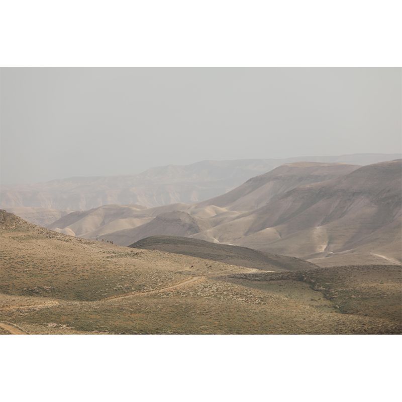 Desert Landscape Wall Mural Wallpaper Modern Mildew Resistant for Bedroom