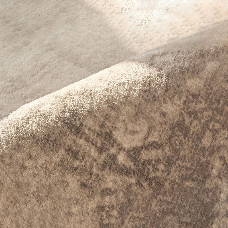 Light Grey Casual Rug Polyester Graphic Rug Non-Slip Backing Rug for Sitting Room