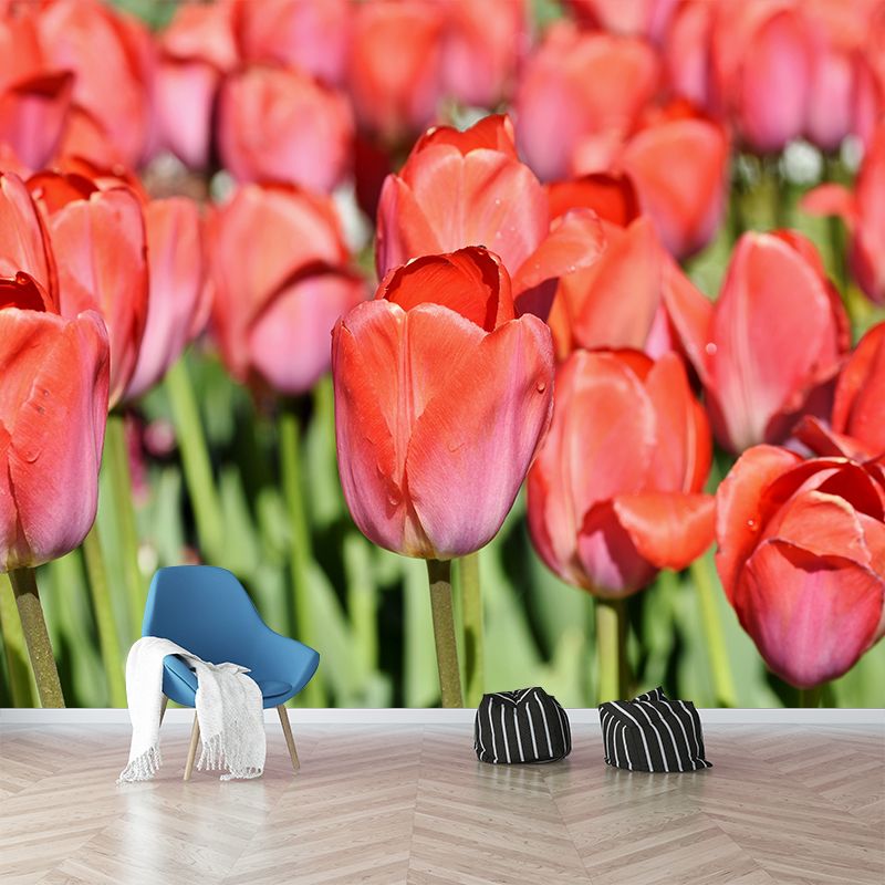 Kleurrijk Tulp Bloem Muurschildering Behang Minimalistisch Muurdecor, Aangepaste Grootte Beschikbaar