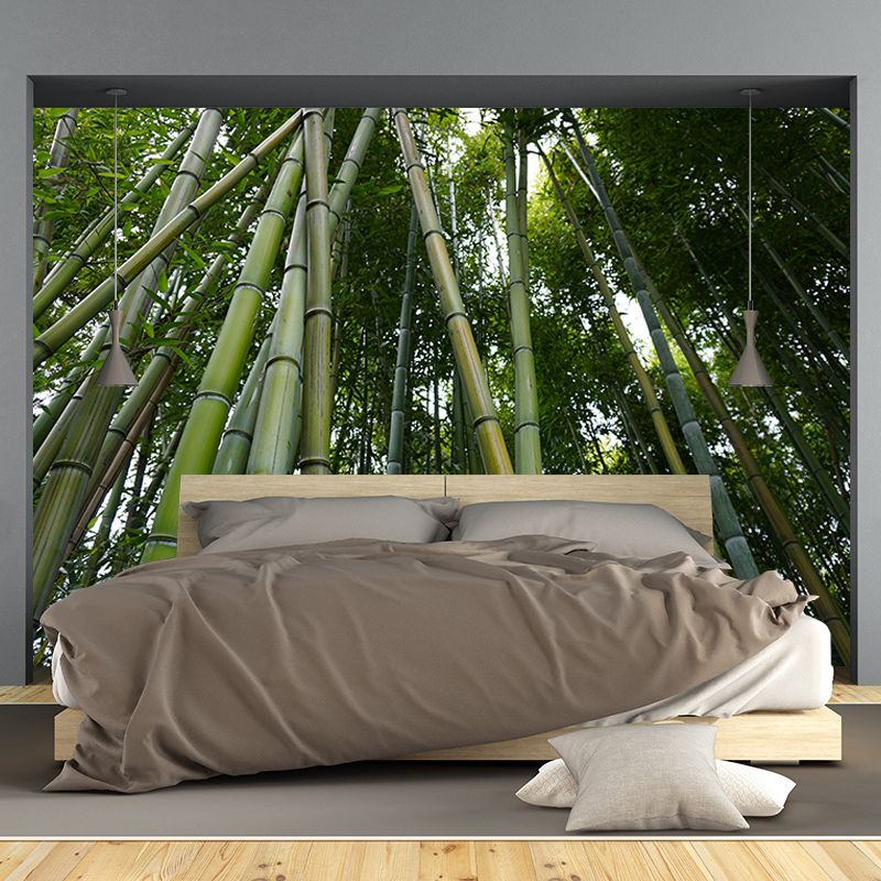 Green Bamboo Wall Decor for Bedroom Living Room Waterproofing, Made to Measure