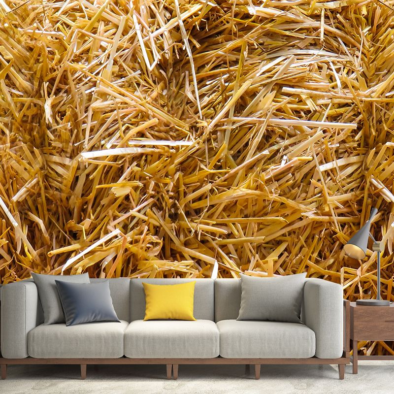 Relaxing Cornfield View Mural Wallpaper Pastel Color Modern Wall Covering for Drawing Room