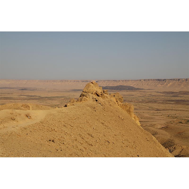 Huge Desert Mural Wallpaper Photography Style for Dining Room Decor