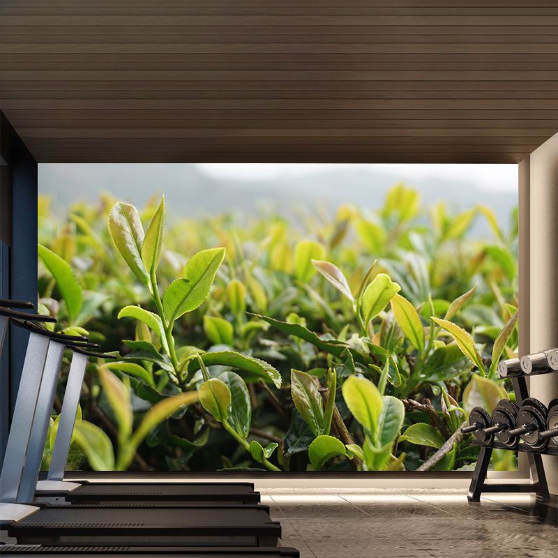 Tea Leaf Wall Mural Water Mildew Resistant Environment Friendly Wall Decor for Bedroom