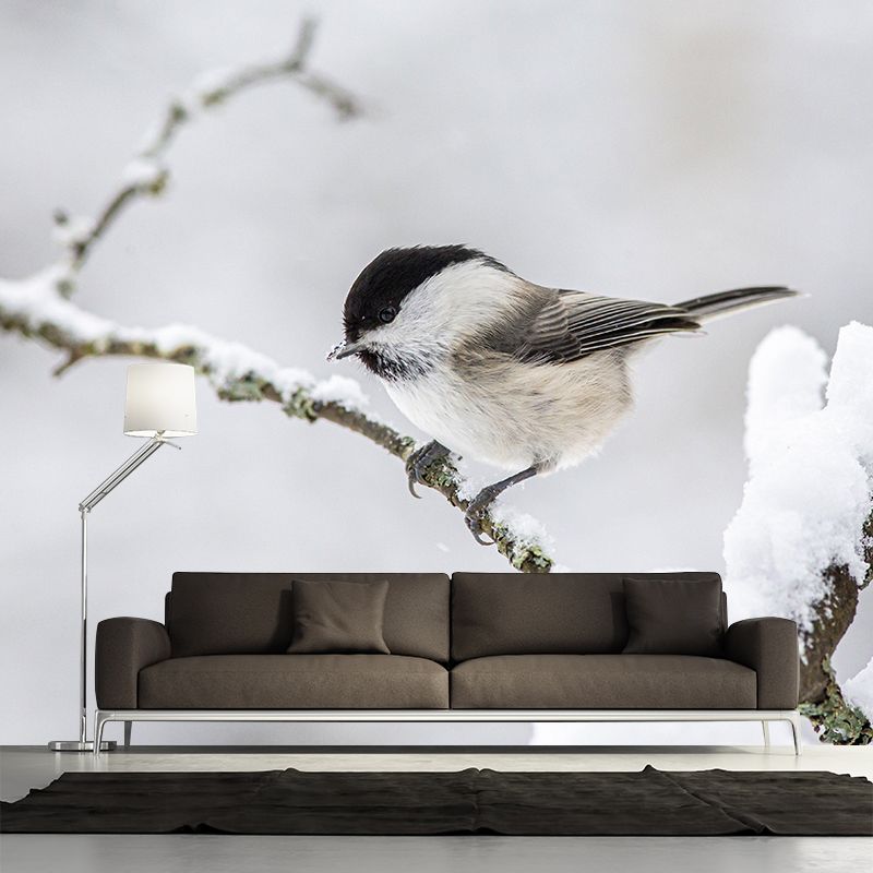Photography Wild Animal Tit Mural Wallpaper Environment Friendly for Living Room