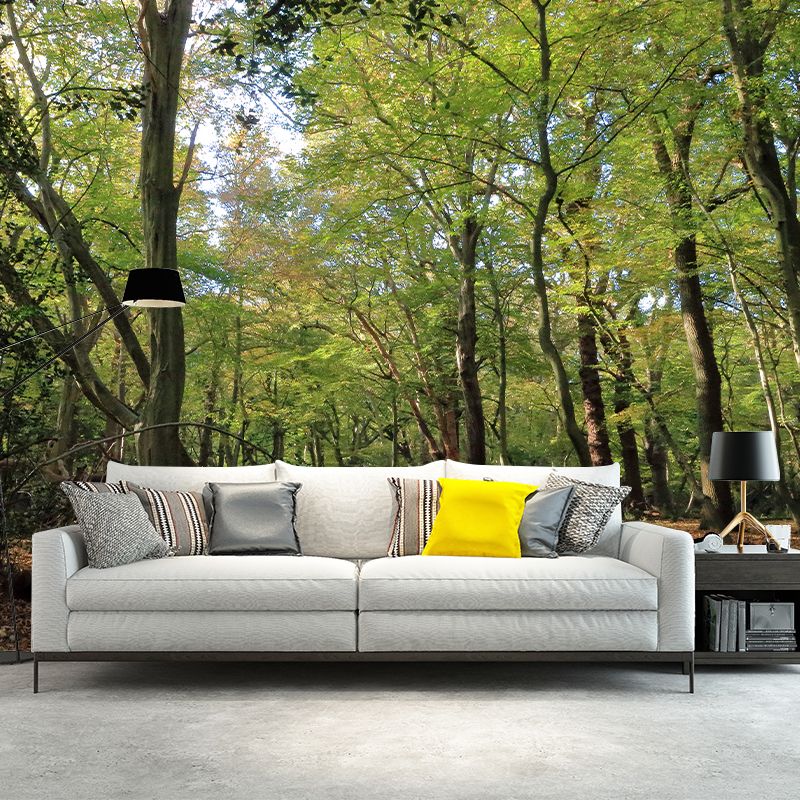 Photographic Forest Wall Mural Water Resistant Wall Decor for House Interior, Custom Size