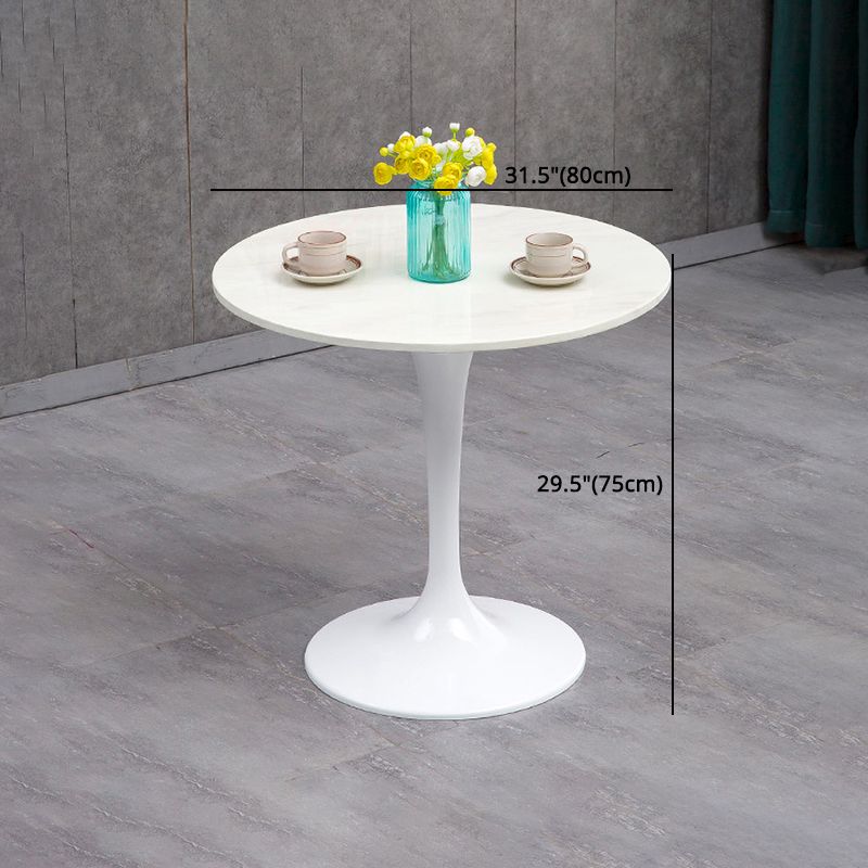 Modern Sintered Stone Dining Room Set 1/2/3/4/5 Pieces Dining Set /Separate Items