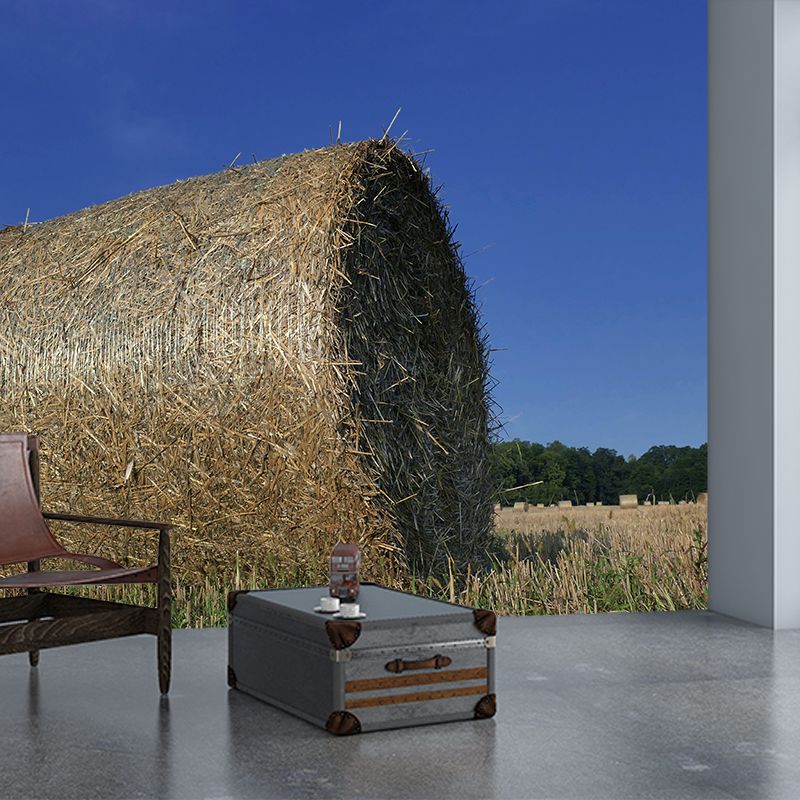 Moisture Resistant Straw Bales Mural Wall Covering for Living Room Wall Decor