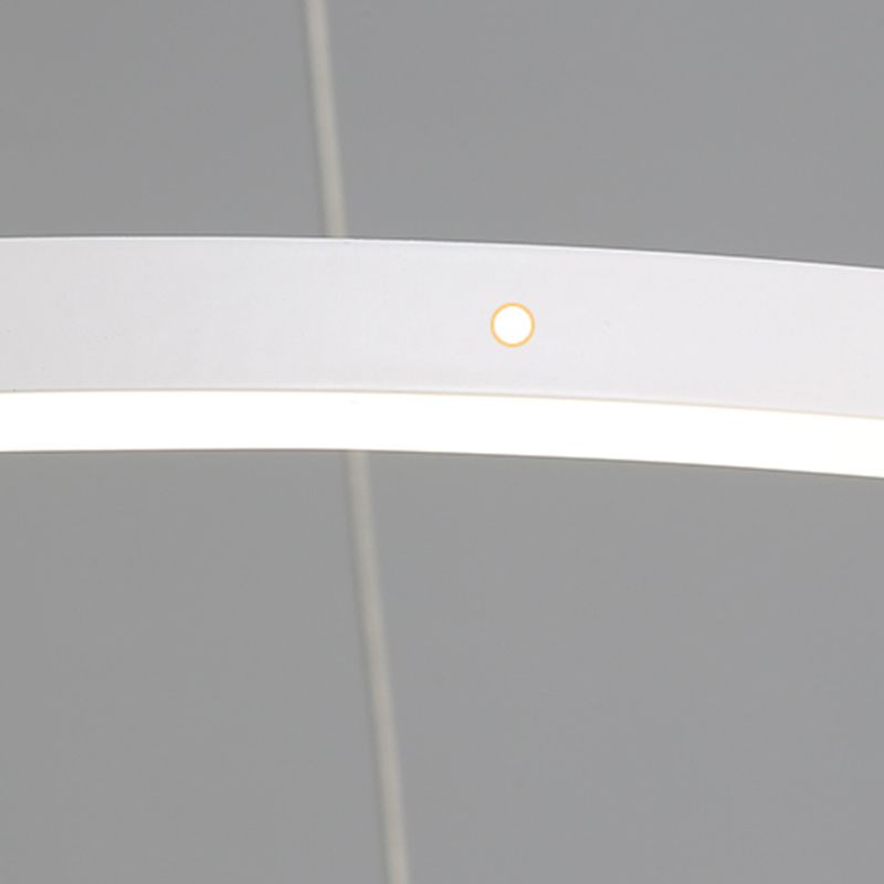 Circle Shade Metal Chandelier Lights Modern 2- Light Chandelier Lighting Fixtures