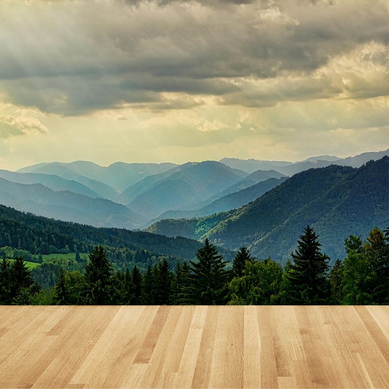 Mountain Range Landscapes Mural Wallpaper in different seasons Indoor Wall Art for Home Decor