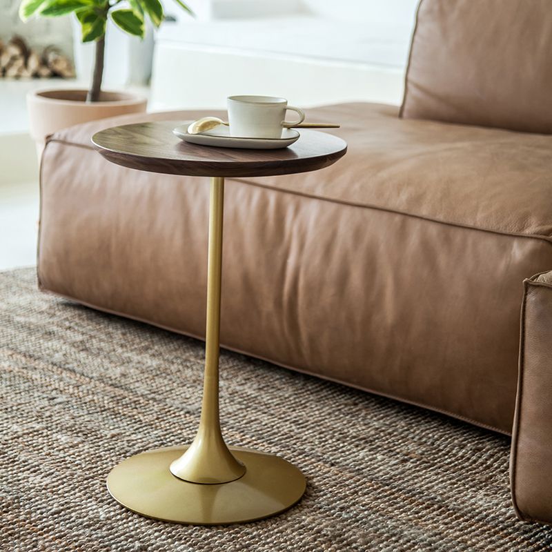 Scandinavian Round Solid Wood Top Side Table Metal Pedestal End Table