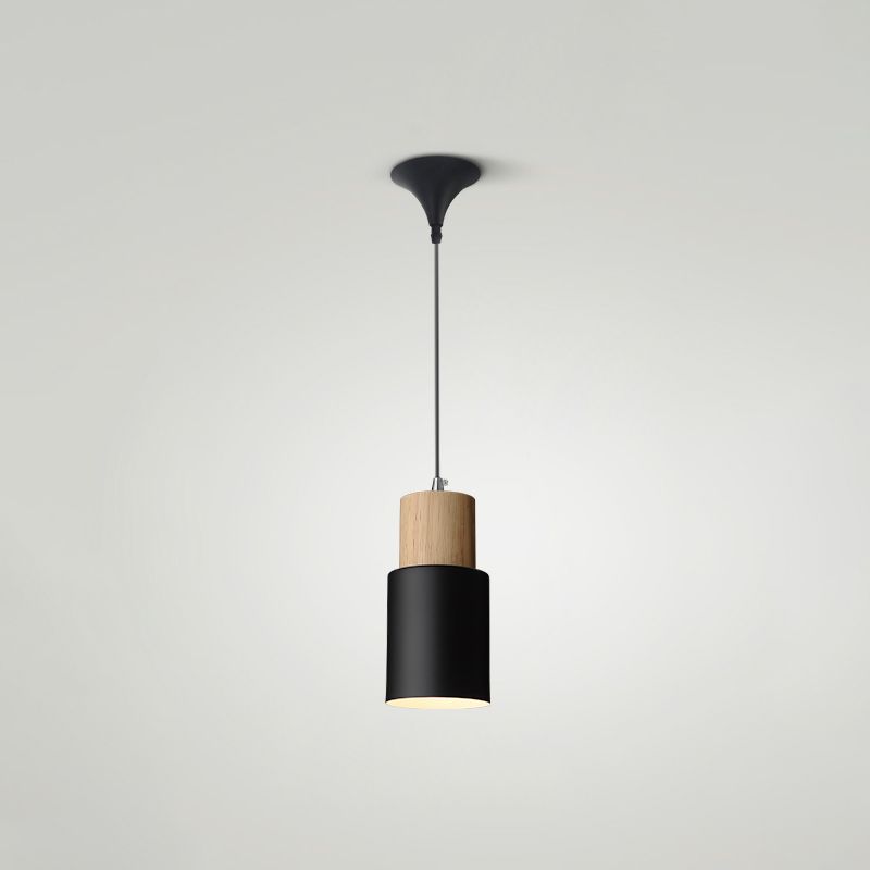 Indoor Nordic Pendant Light Modern Simple Creative Single Pendant Light for Restaurant Coffee Shop