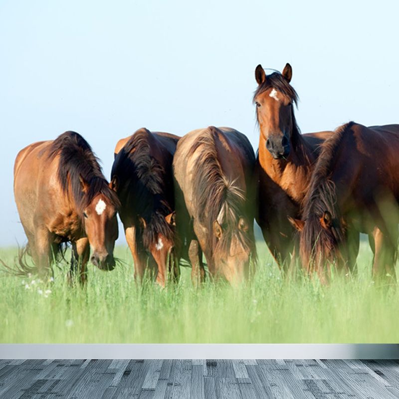 Contemporary Steed Wall Covering Mural in Dark Color Animal Wall Decor for Boys Bedroom